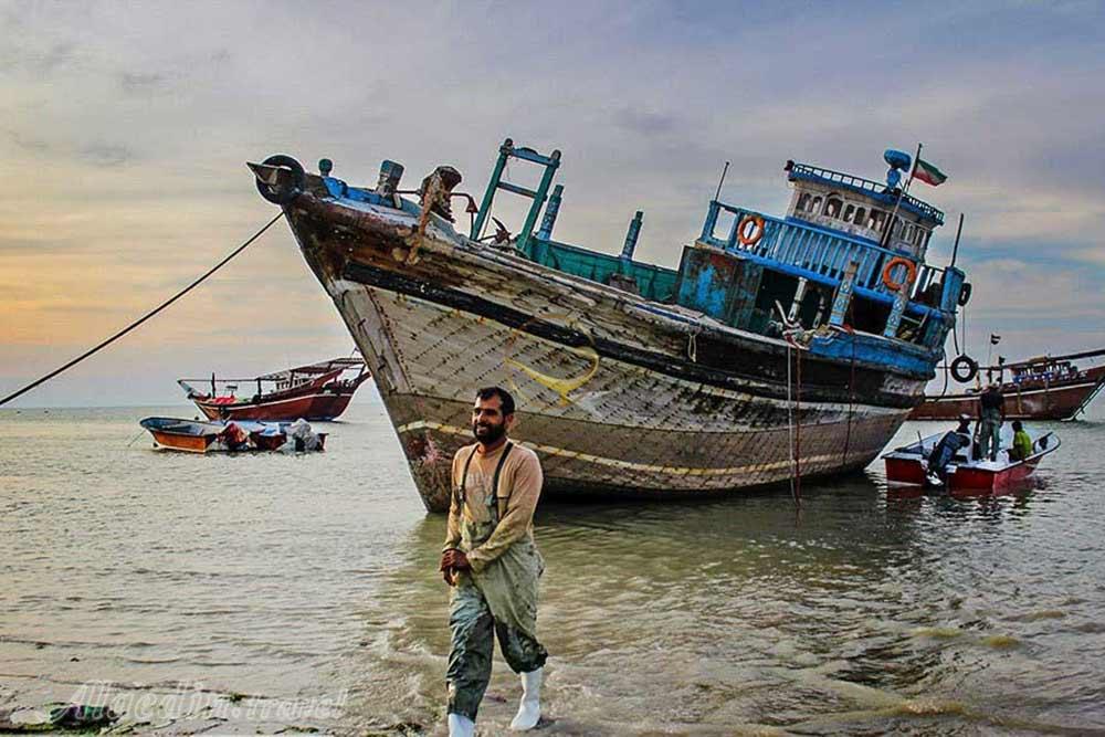 جزیره شیف در بوشهر | علاءالدین تراول