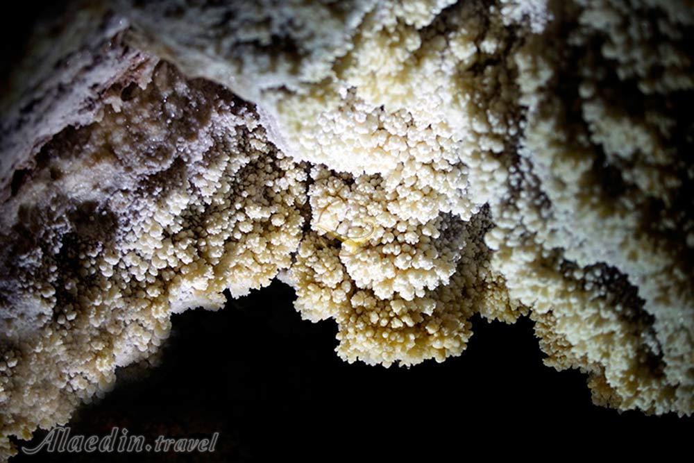 Chal Nakhjir Cave of Delijan | Alaedin Travel