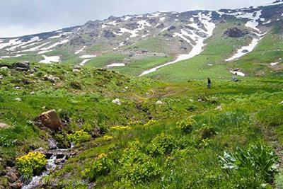 کوه چهل چشمه دیواندره
