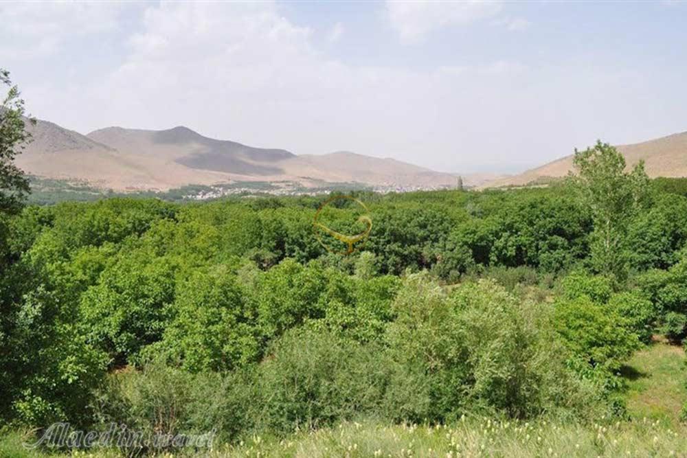 دوزخ دره همدان | علاءالدین تراول