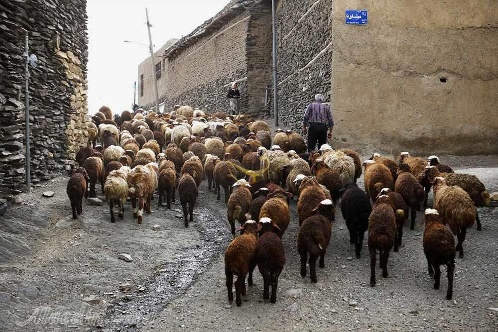 روستای سنگی ورکانه همدان | علاءالدین تراول