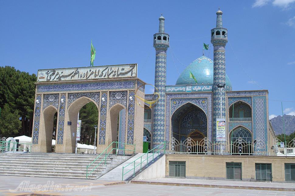 امامزاده سید مرتضی کاشمر | علاءالدین تراول