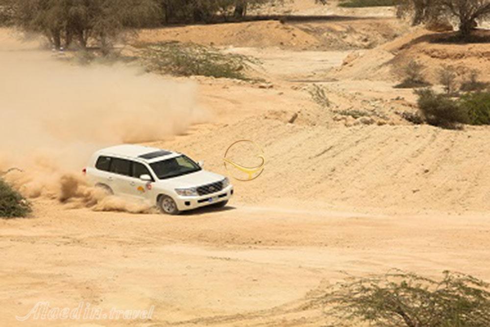 Pars Safari of Kish | Alaedin Travel
