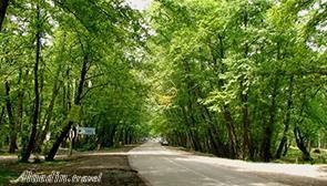 Kashpal Jungle Park in Nur