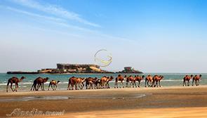 Naaz Islands in Qeshm