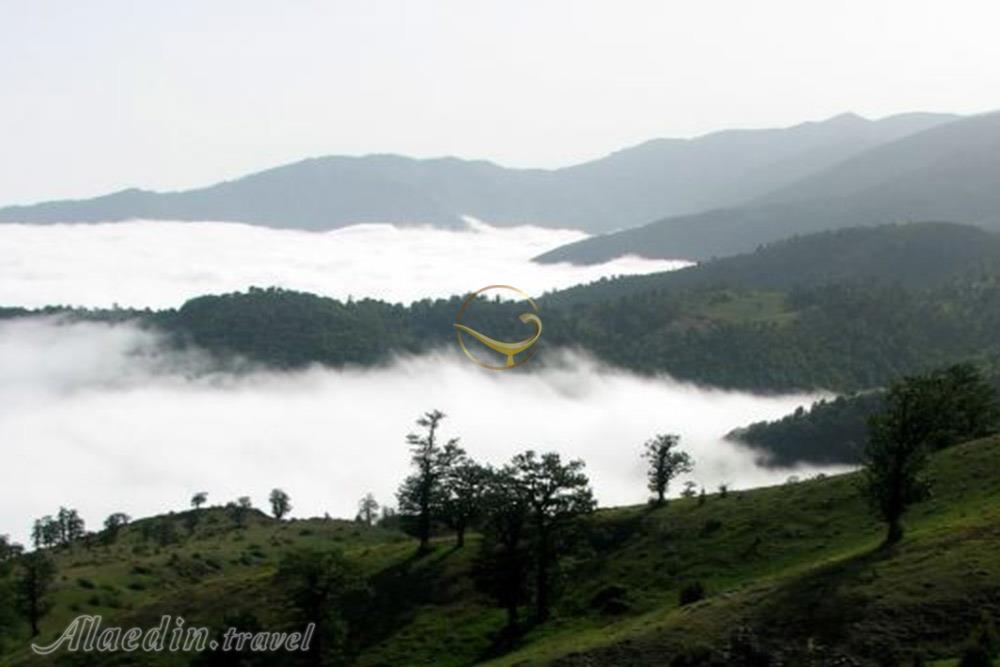 Abr (Cloud) Forest of Shahrud | Alaedin Travel