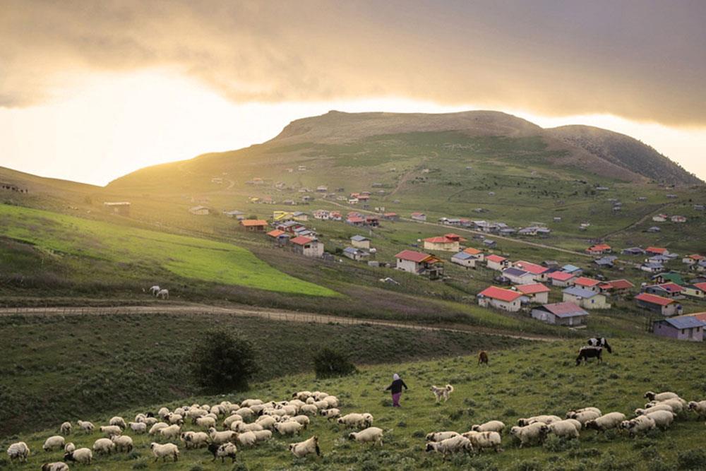 Talesh City
