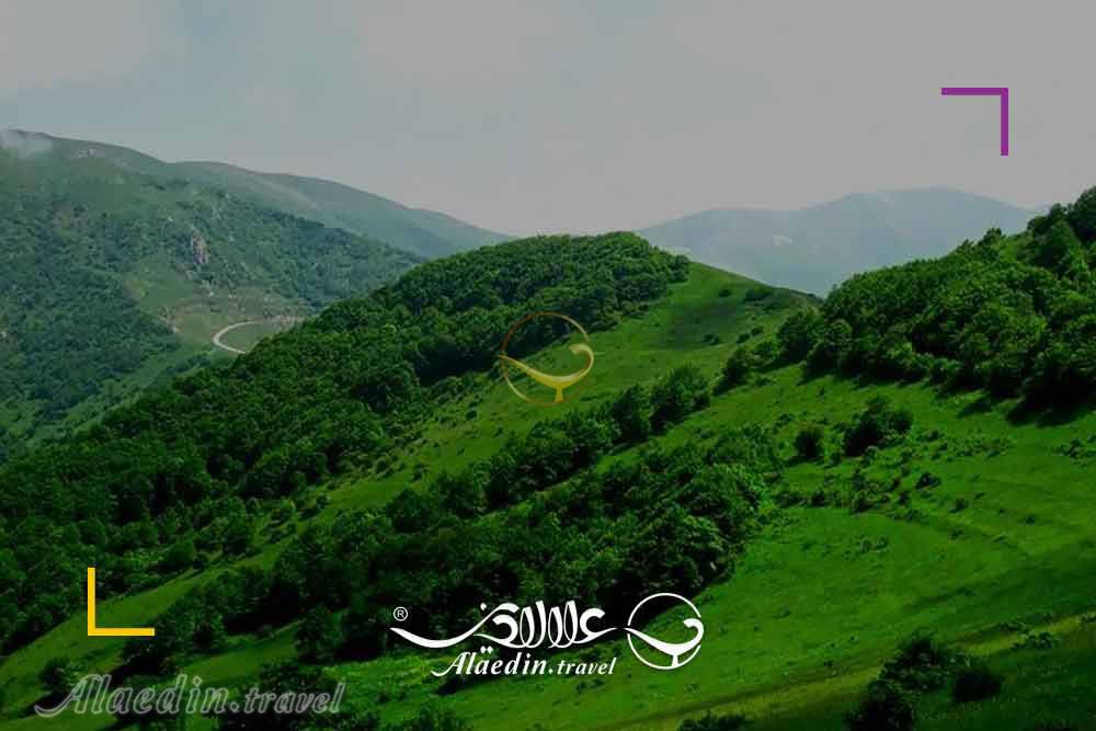 اجرای تور طبیعت گردی | علاءالدین تراول
